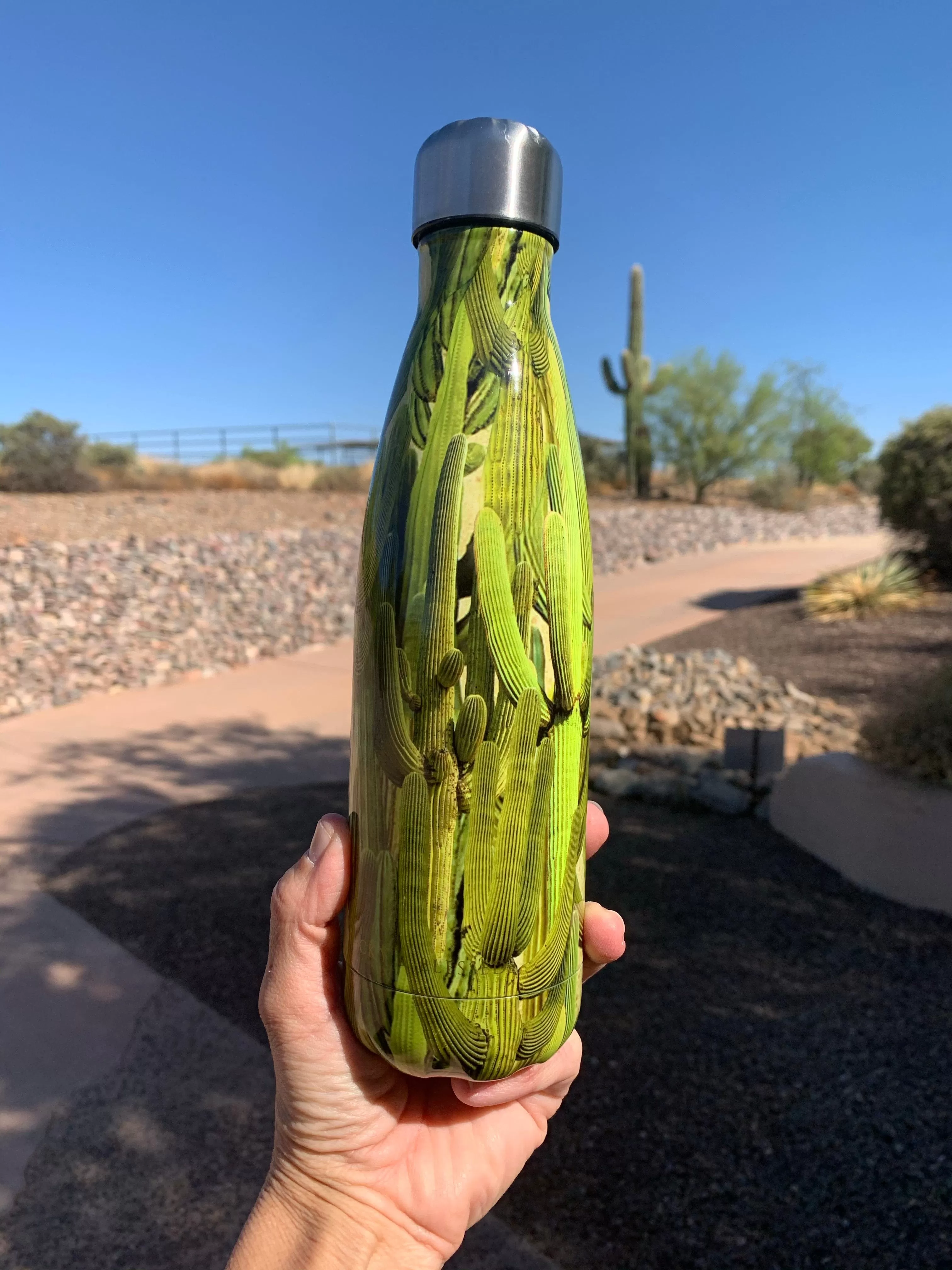 Saguaro cactus print Tumbler