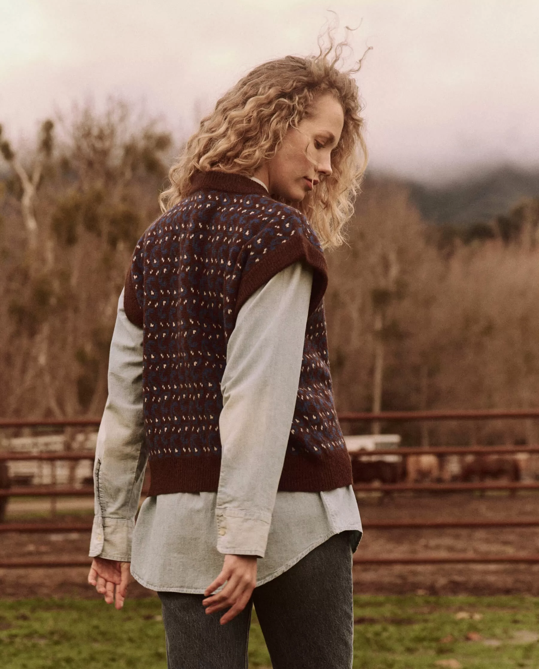 The Sweater Vest. -- Driftwood Paisley