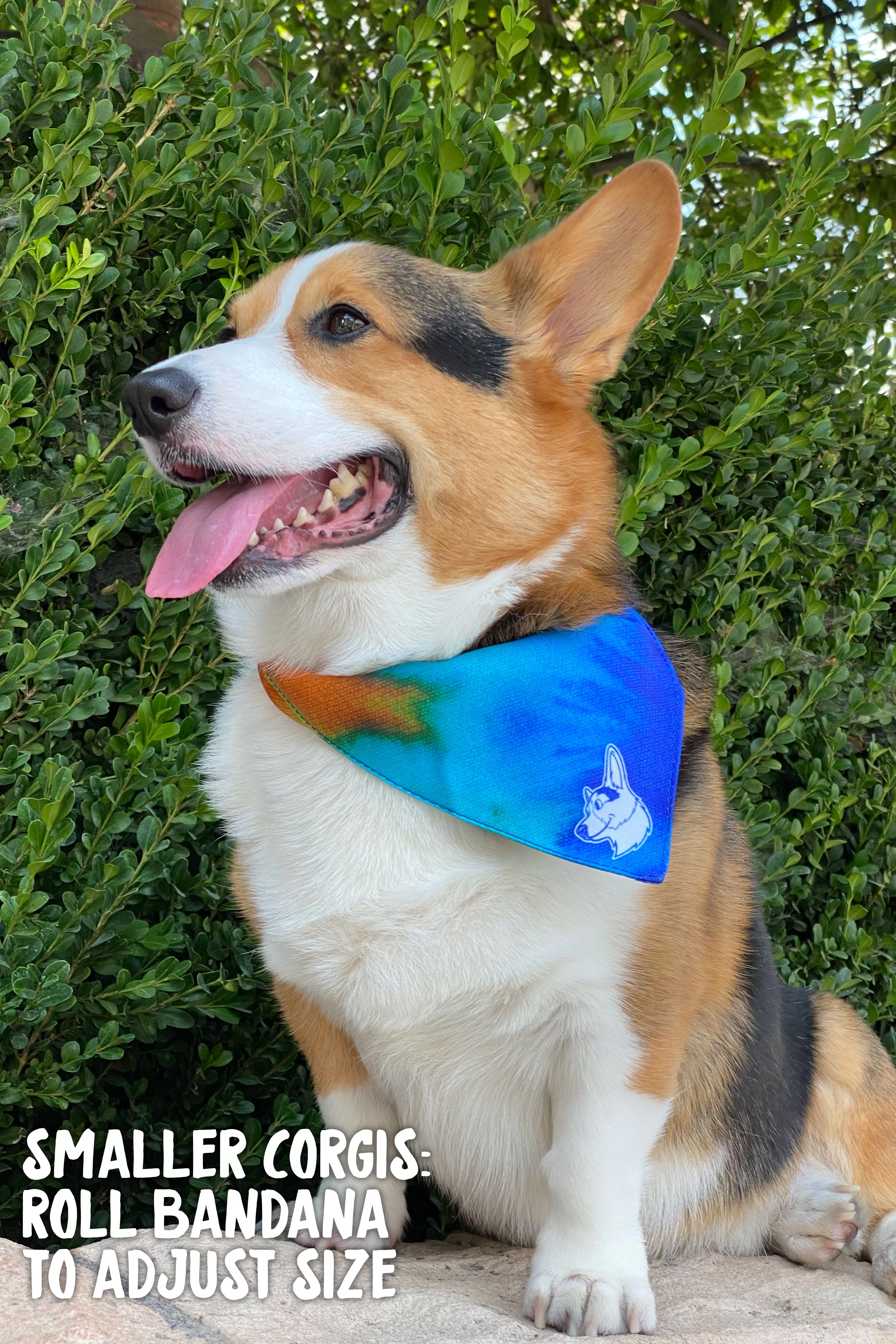 Tie-Dye Corgi Dog Bandana